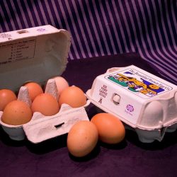 6 Extra Large Fresh Farm Eggs