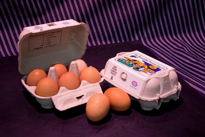 6 Extra Large Fresh Farm Eggs