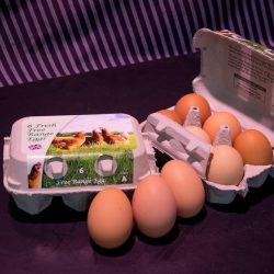 6 Free Range Eggs